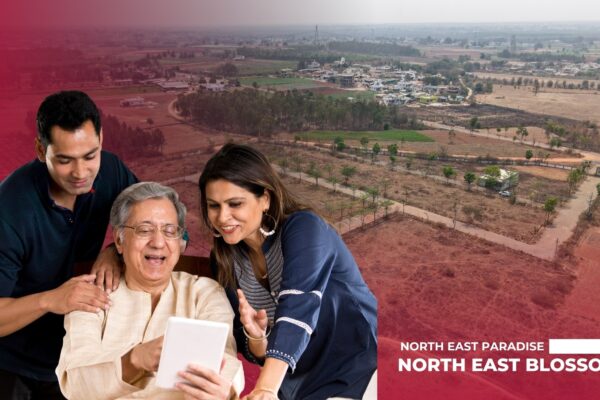 North East Blossom